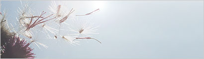 Banner_Home